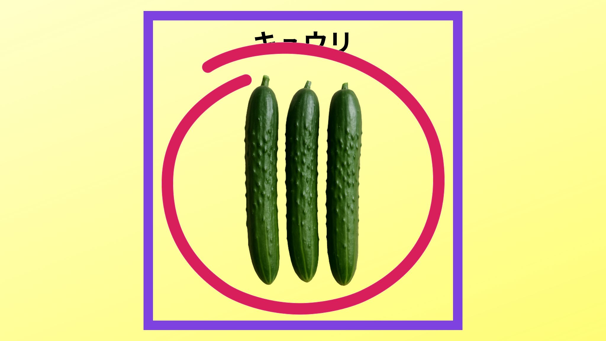 美味しいキュウリ3本の紹介写真です。